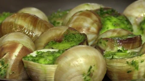 Snail dish Stock Footage 76929519