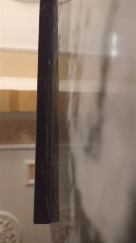 Snail Falling Down from Above Stock-Footage 335651036