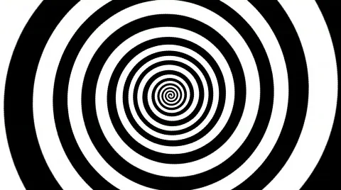 Snail Stock Footage 831767