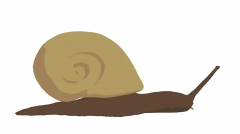 Snail Stock Footage 973948
