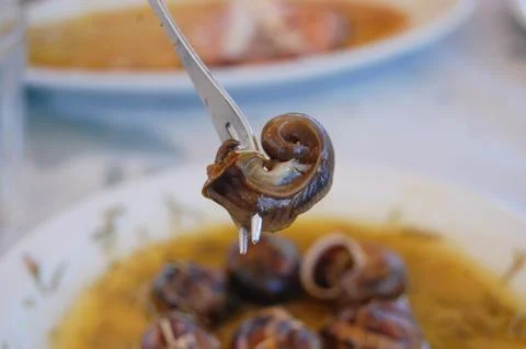 Snail on a fork Stock Photos