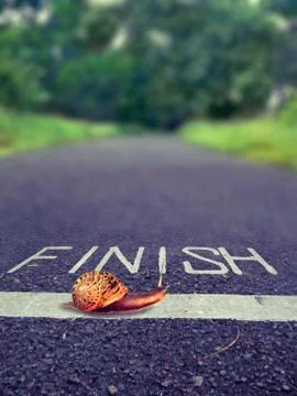 Snail going over the finish line, concept Ilustração Stock