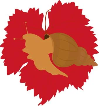 Snail on grape leaf Illustrazione stock
