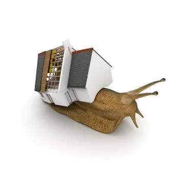 Snail with house Stock Illustration