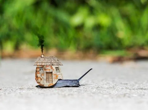 Snail with a house Foto stock