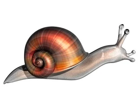 Snail Stock Illustration