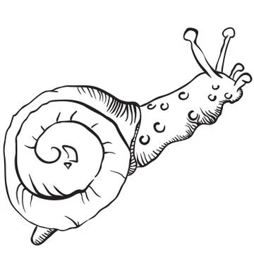 Snail Illustrazione stock