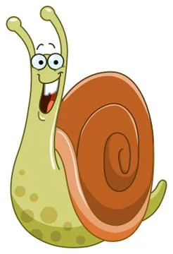 Snail Stock Illustration