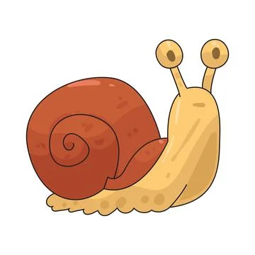 Snail illustration Stock Illustration