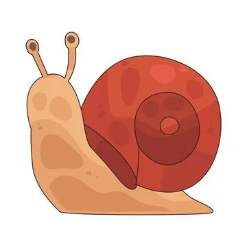 Snail illustration Stock Illustration