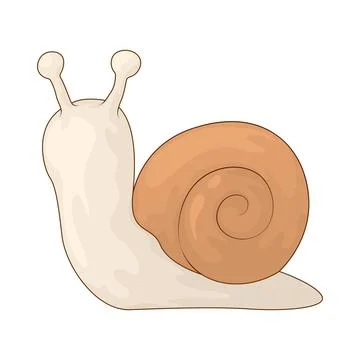 Snail illustration Stock Illustration