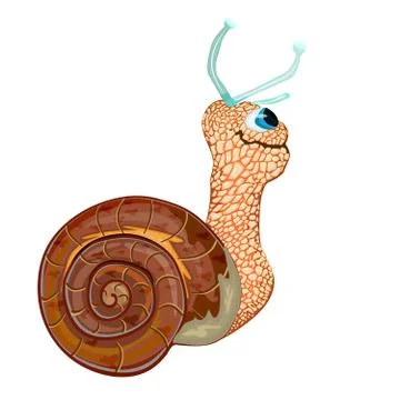 Snail isolated on white background. Stock Illustration