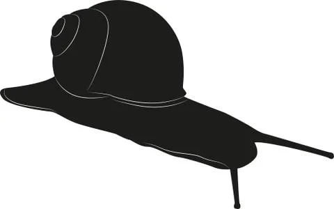Snail isolated on a white background. Vector black silhouette イラスト素材