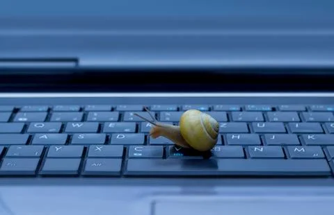 Snail on keyboard Stock Photos