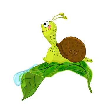 Snail on leaf isolated on white background. Cartoon cochlea on green leaf. Stock Illustration