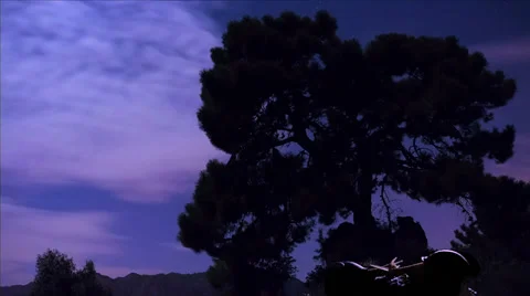 Snail night timelapse Stock Footage 36665104