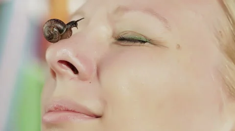 Snail on nose. Stock Footage 49440639