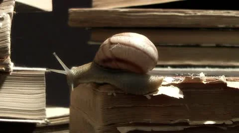 Snail on old book Stock Footage 11217271