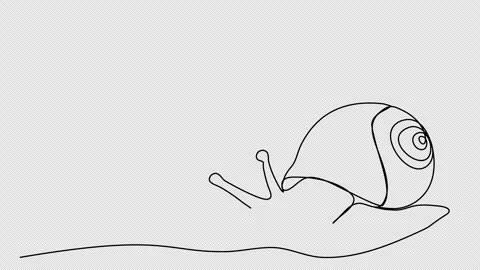 Snail. One line drawing animation with alpha channel. Stock Footage 268618706