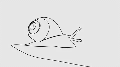 Snail. One line drawing animation with alpha channel. Video stock 268618790