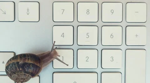 Snail over a keyboard Stock Footage 60793855