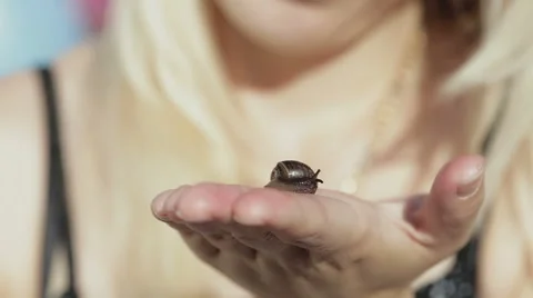 Snail on a palm. Stock Footage 49441499