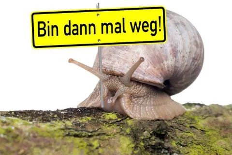 Snail Stock Photos