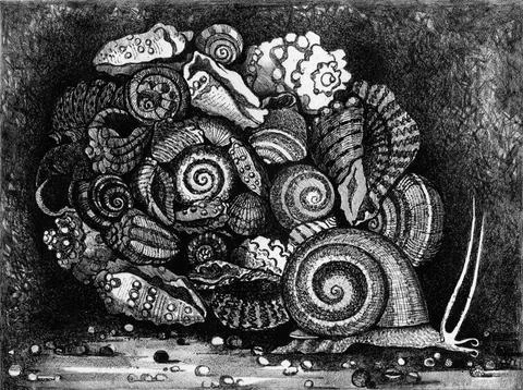 Snail with a pile of empty shells Stock Illustration