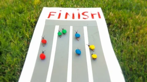 Snail race. Fast motion video. Stock Footage 83013376