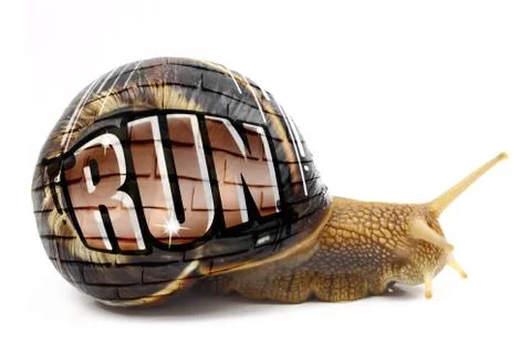 Snail with "Run" text written on its shell isolated Stock Photos