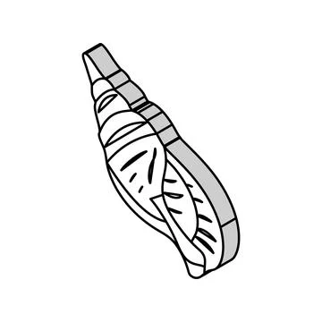Snail sea shell beach isometric icon vector illustration Stock Illustration