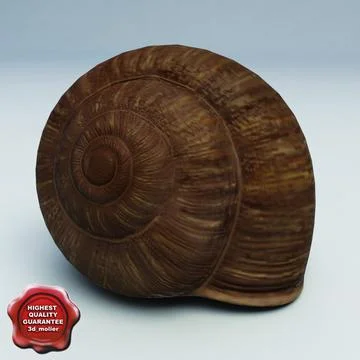 Snail Shell 3D Model