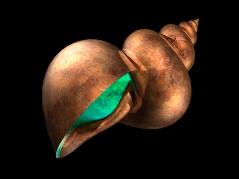 Snail shell, artwork Stock Illustration