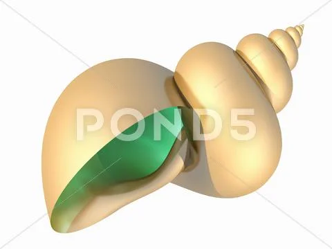 Snail shell, artwork Stock Illustration