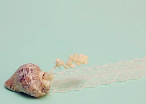 Snail shell colorful background 스톡 사진