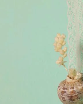 Snail shell colorful background Stock Photos