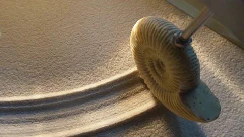 Snail, shell, fossil with sand Stock Footage 174915225