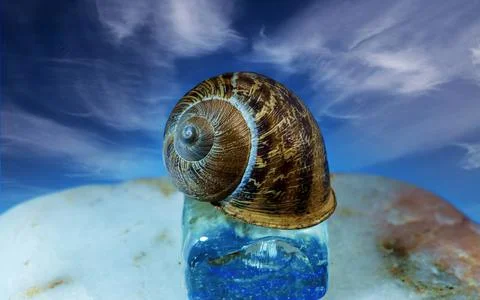 Snail shell over sky with clouds Stock Photos