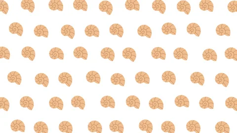 Snail Shell Seamless Repeating Pattern White Background Design Stock Footage 339433962