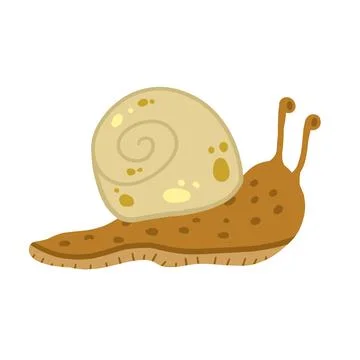Snail with shell. Small brown insect. Forest slow slimy animal Stock Illustration