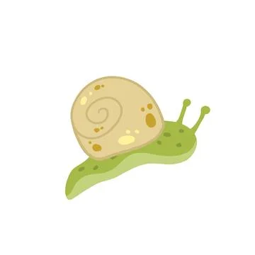 Snail with shell. Small green insect. Forest slow slimy animal. Stock Illustration