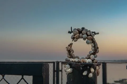 Snail shells on sky background and on a rusty fence Stock Photos