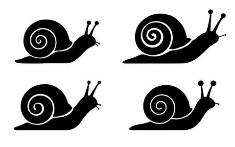 Snail silhouette vector on white background イラスト素材