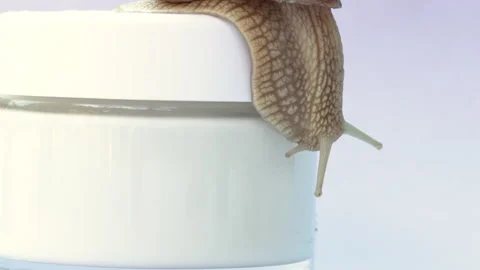 Snail sliding down on white jar with cream Stock Footage 201241505