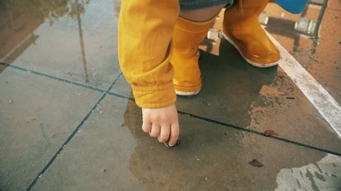 Snail Swimming In A Puddle Stock Footage 140355960