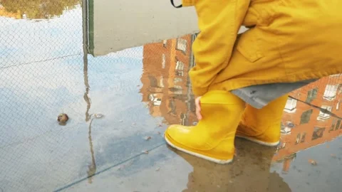 Snail Swimming In A Puddle Stock Footage 140356028