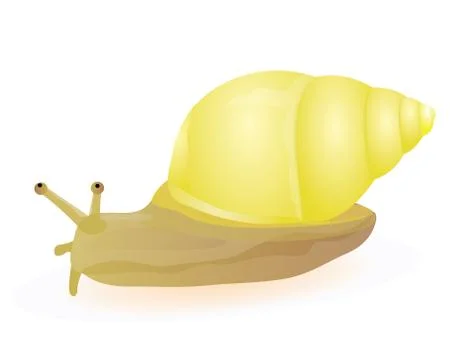 Snail vector design Stock Illustration