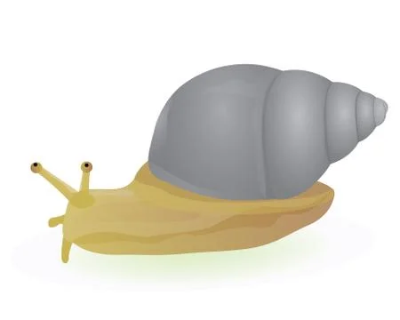 Snail vector design Stock Illustration