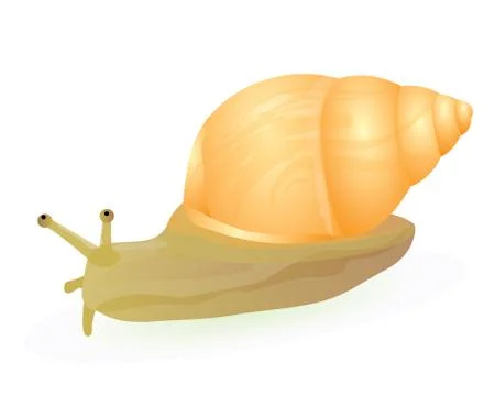 The snail vector design Stock Illustration