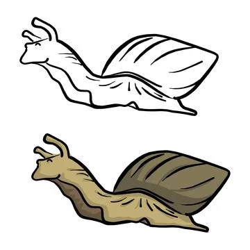 Snail vector illustration sketch doodle hand drawn with black lines isolated Stock Illustration